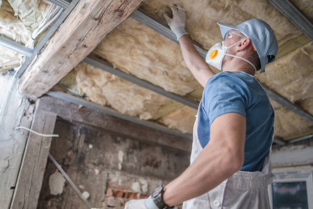 Best Insulation Maintenance and Repair in Morrisonville, NY